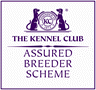 Kennel Club Assured Breeder Logo