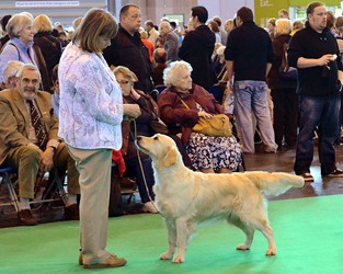 Penny and Bliss competing at Crufts 2012