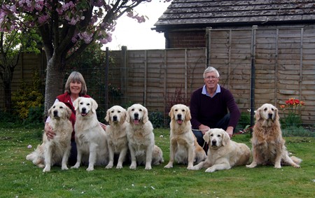 Carolake Golden Retrievers 2017