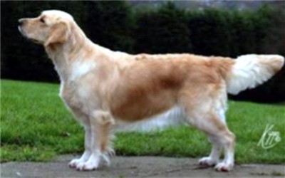 Stanroph Endelwood Natasha